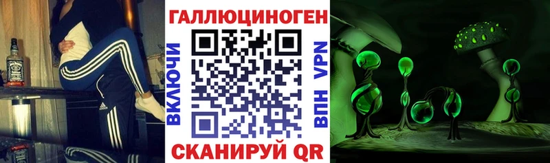 гидра ссылки  Подольск  Галлюциногенные грибы Magic Shrooms  наркотики 